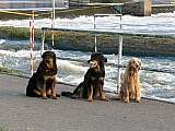 na vychzce 7.4. 2007