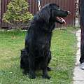 Coox Sideric Miks bezen 2007