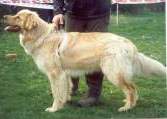 Caspian