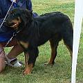 Joy Cran Berry z Budsk samoty NV Mlad Boleslav 2007